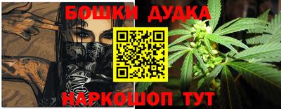 сатива Аша