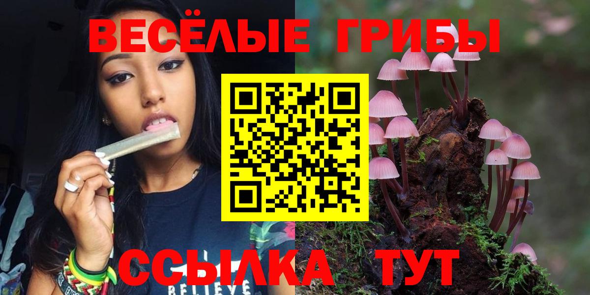 купить закладку  Псилоцибиновые грибы Magic Shrooms  Вход с VPN  Псилоцибиновые грибы ЛСД  Амурск 